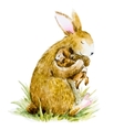 watercolor rabbit with baby vector image