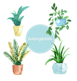 watercolor set of house plants vector image