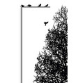 autumn tree and birds label pattern vector image