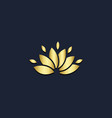 lotus flower abstract gold logo vector image vector image