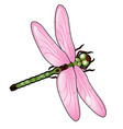 cartoon dragonfly with pink wings isolated vector image