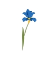 flower iris isolated on white background floral vector image