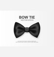 3d realistic black bow tie icon closeup vector image