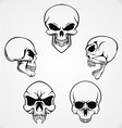 skulls collection vector image