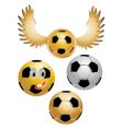 soccer ball vector image