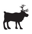 elk animal design vector image