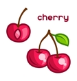 stylized of fresh cherry on white vector image