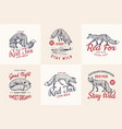 red fox badges set forest ginger wild animal vector image