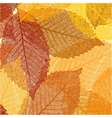 dry autumn leaves template eps 8 vector image