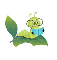 cartoon caterpillar reading a book vector image vector image