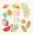 tropical summer elements vector image