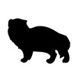 arctic fox silhouette vector image