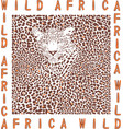 background leopard and text vector image