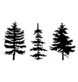 set black fir-trees silhouettes three vector image