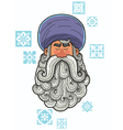 turban vector image