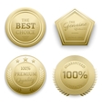 polished gold metal badges vector image