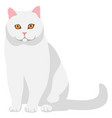 white cute kitten icon cartoon cat sitting vector image