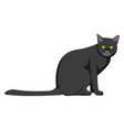 black cat icon cartoon pet grumpy kitten vector image vector image