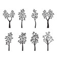 set black trees with leaves outline vector image vector image