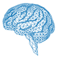 human brain with geometric pattern vector image