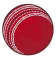 cricket ball vector image vector image