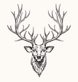 Deer head silhouette hand drawn Royalty Free Vector Image