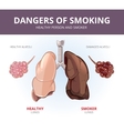 lungs and alveoli of a healthy person smoker vector image