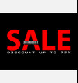 black friday vector image