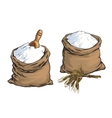 wholemeal bread flour bags with wooden scoop vector image