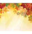 autumnal leaves vector image vector image