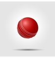 cricket ball on white background with shadow vector image vector image