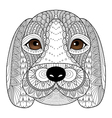 beagle puppy vector image
