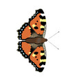aglais urticae - small tortoiseshell butterfly vector image vector image