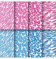 pink and blue tiger zebra giraffe and leopard vector image