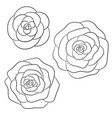 roses black outline on the white background vector image