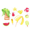 summer watercolor collection vector image
