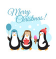 merry christmas winter holidays vector image