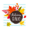 autumn sale design vector image vector image