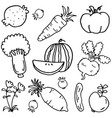 doodle of vegetable and fruit vector image