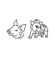 hog outline icon symbol logo vector image