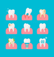 set of teeth and gums icon vector image vector image