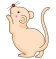 cute rat vector image