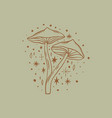 witchcraft mushrooms set magical potion vector image