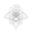with hand drawn stag beetle and sacred geometric vector image