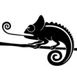 chameleon tongue vector image