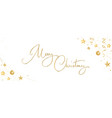 christmas banner golden glitter decoration hand vector image