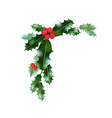 holly holiday corner vector image