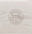white wood texture background close up vector image vector image