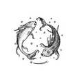 pisces zodiac sign modern magic astrological vector image