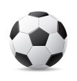 soccer ball vector image
